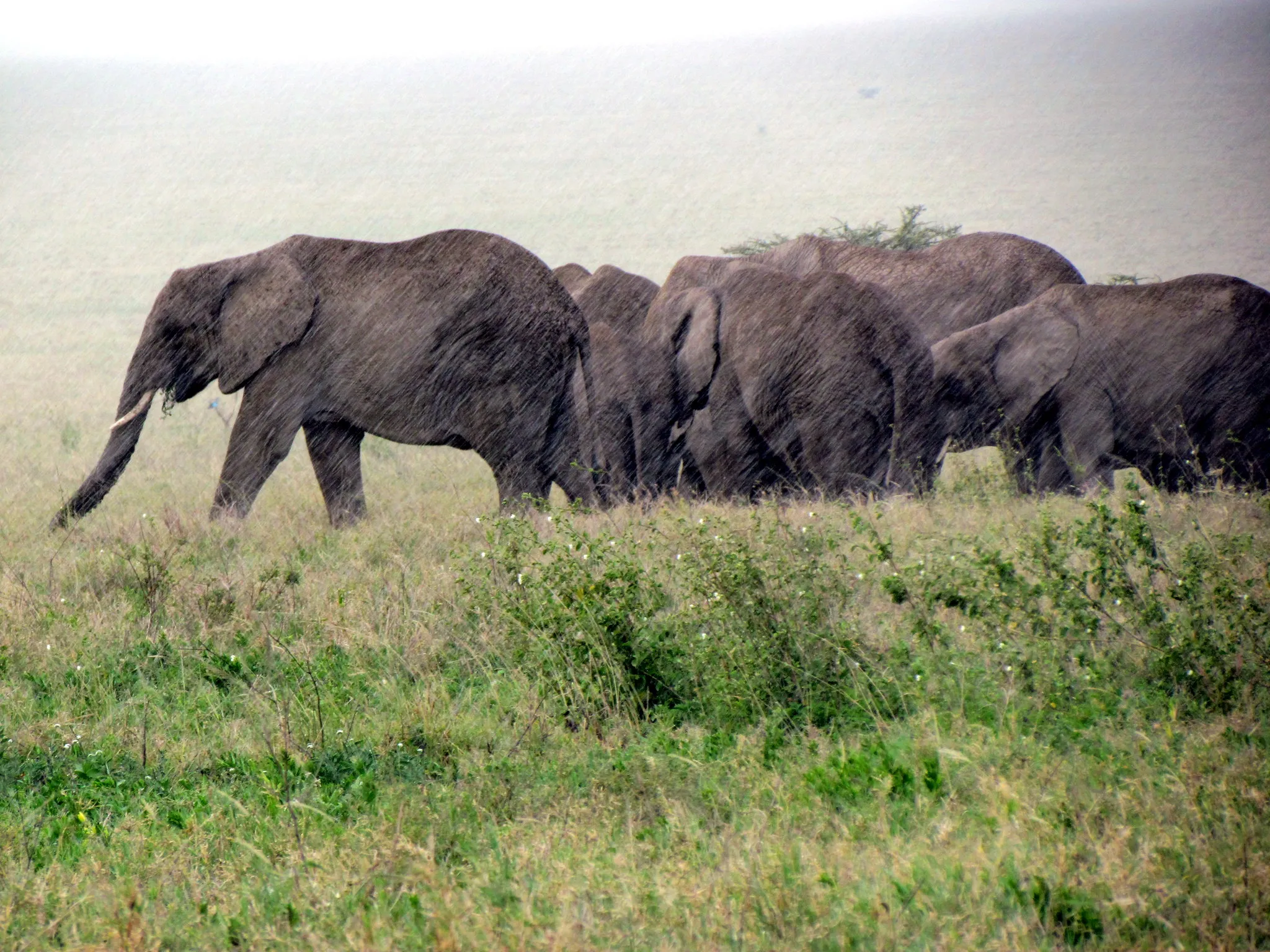 Tanzania & Zanzibar: Understanding the Climate Before You Book