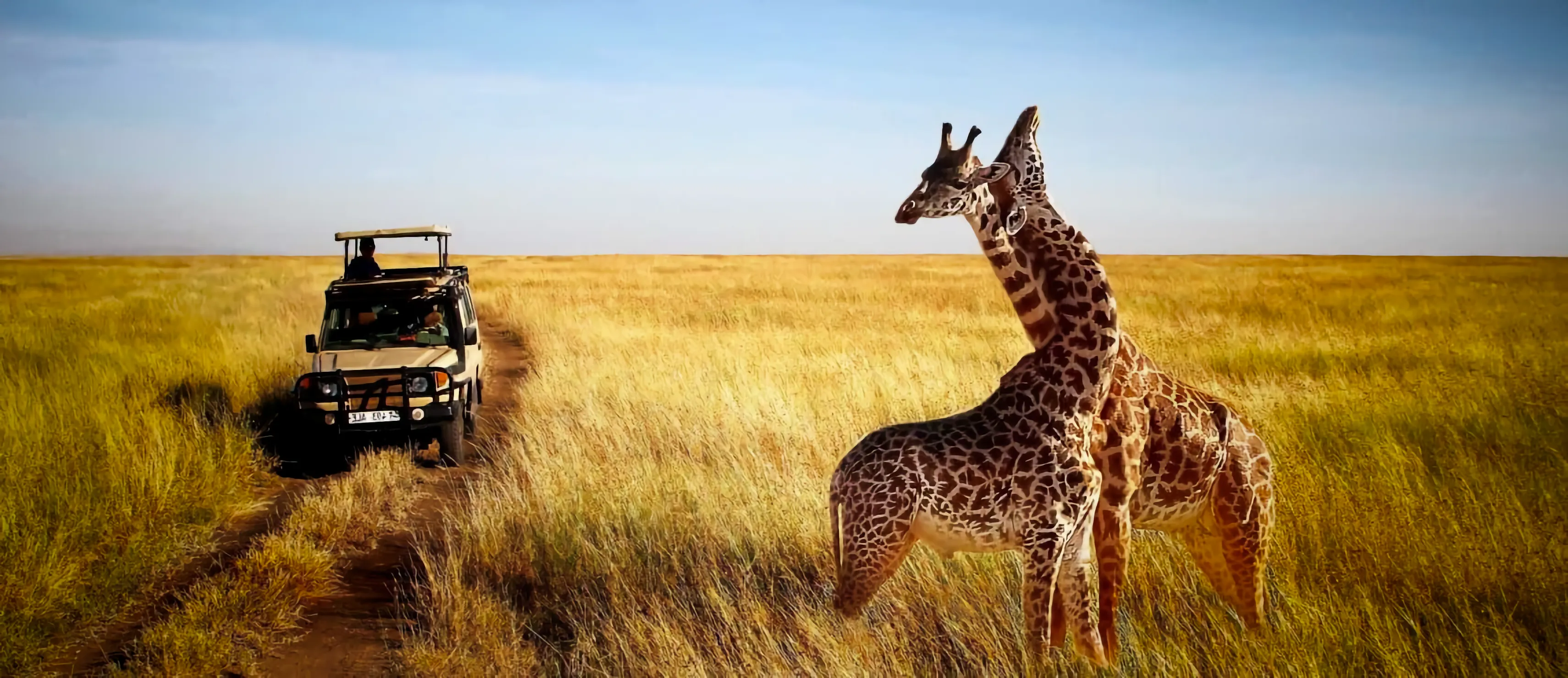8 Days — Kenya & Tanzania Safari — Luxury