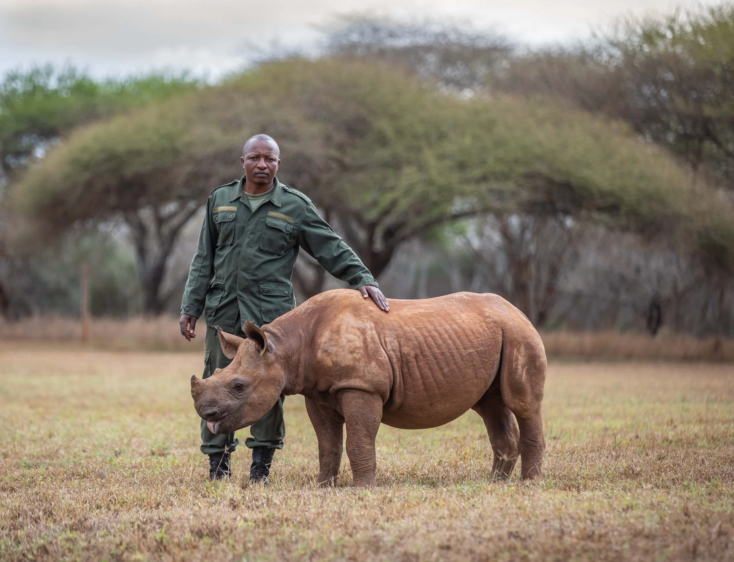 Mkomazi rhino sanctuary