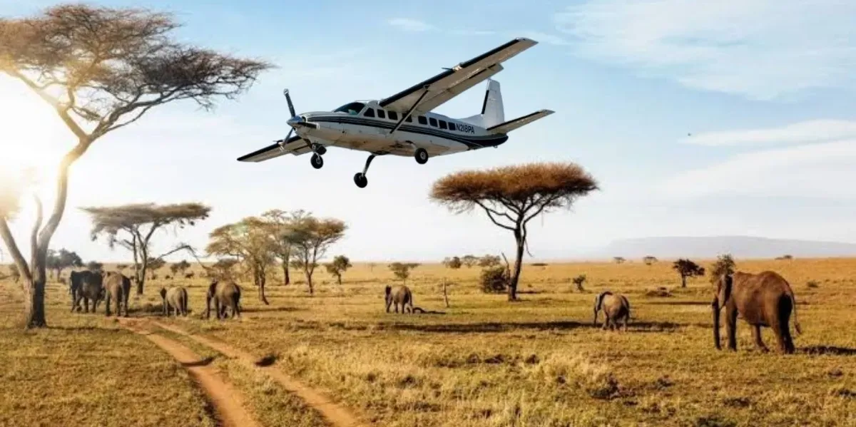 Getting Around Tanzania: Airports, Roads, Ferries, and Everything In Between