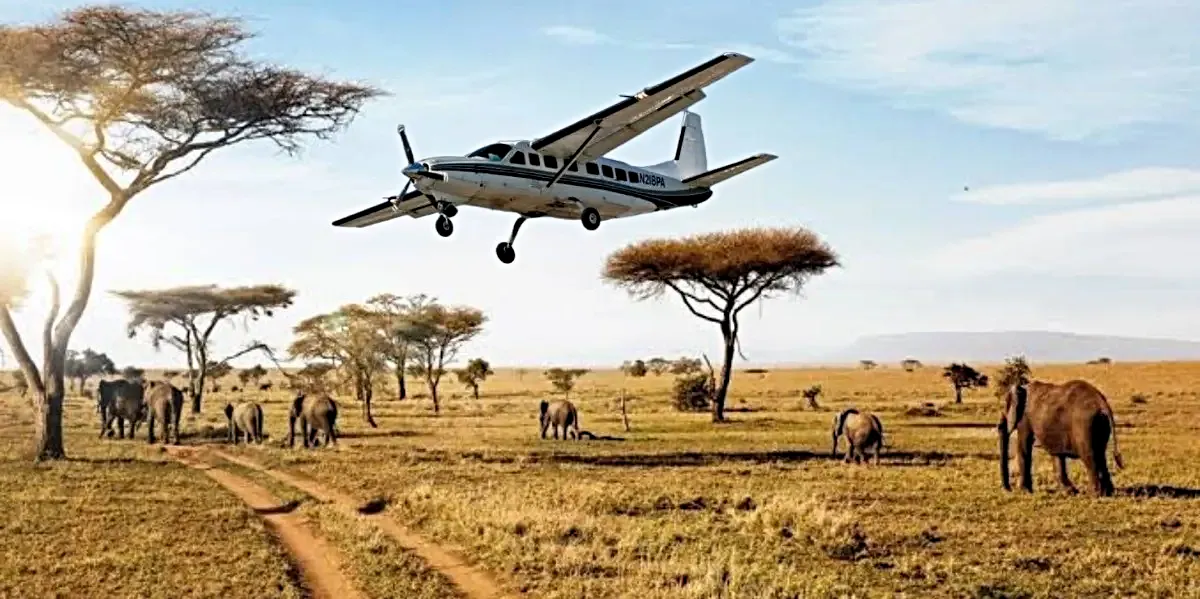 Tanzania truck