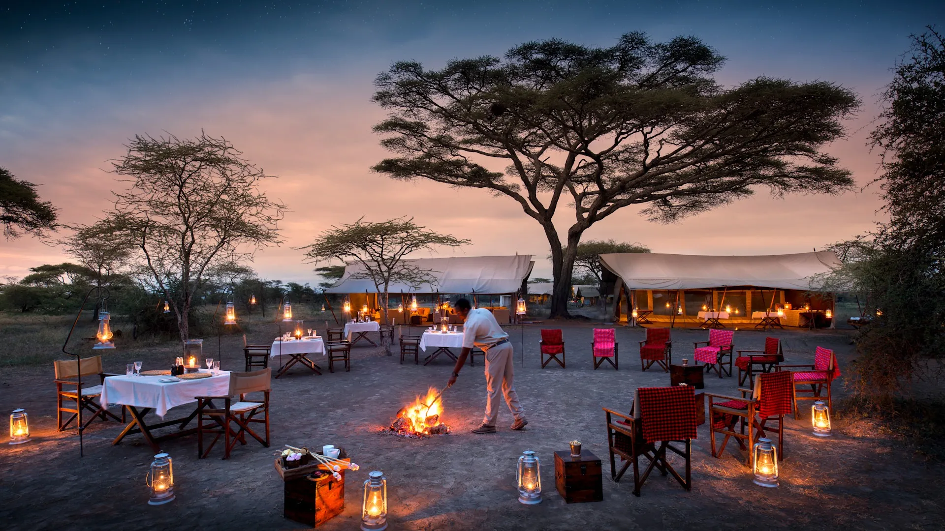 14-Day Kenya–Tanzania Great Migration Safari — Luxury