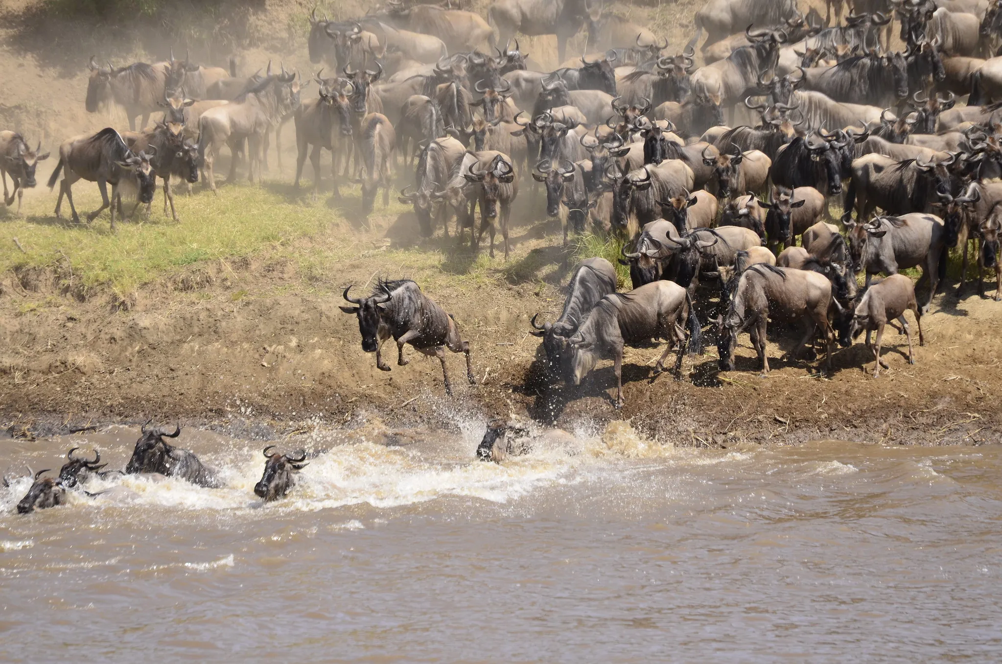 7 Days — Great Migration Tanzania Safari — Mid-Range