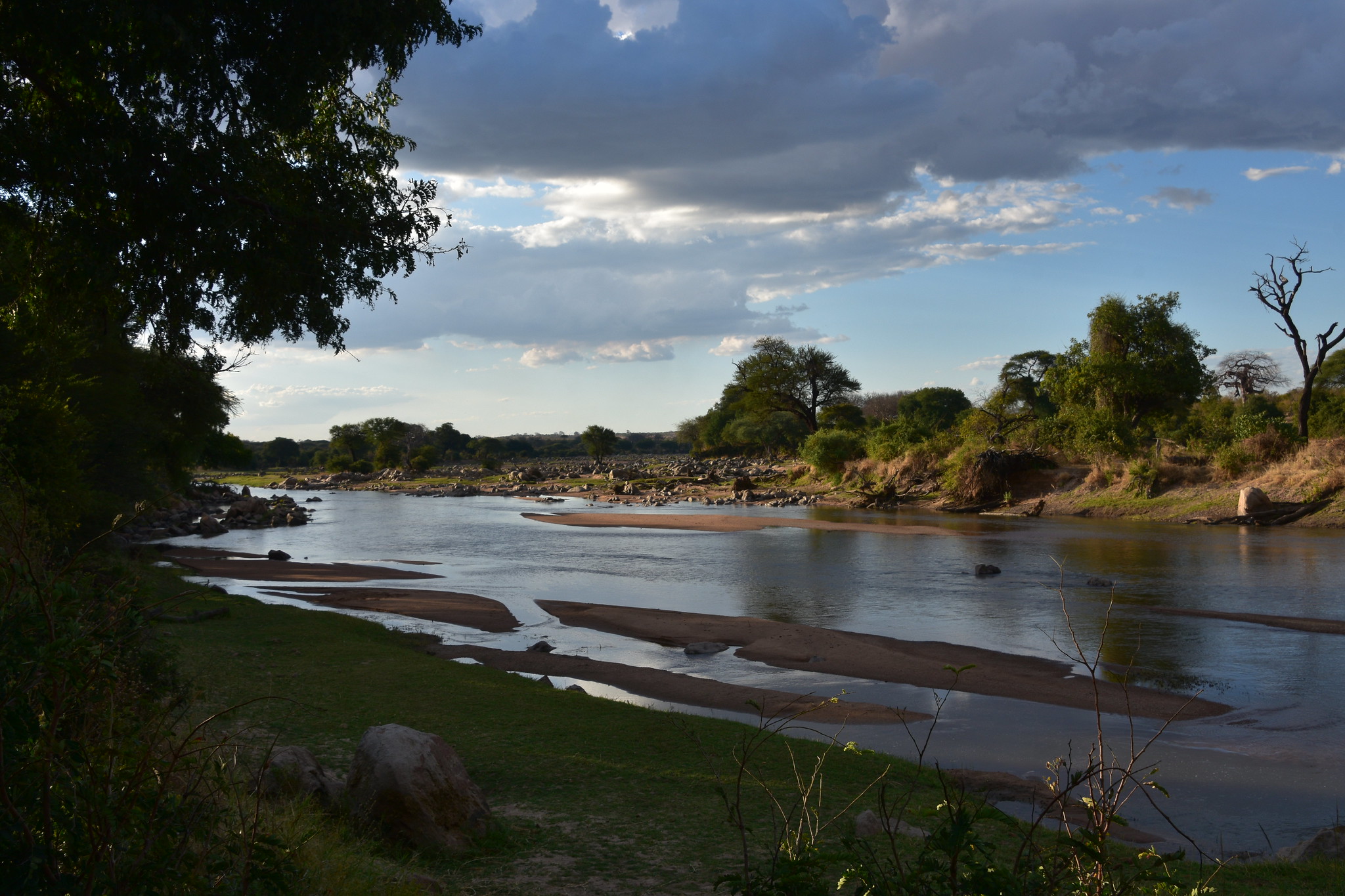 ruaha safari
